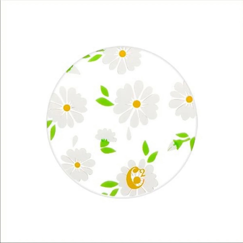 Daisy Window Plate XL Legacy Locket